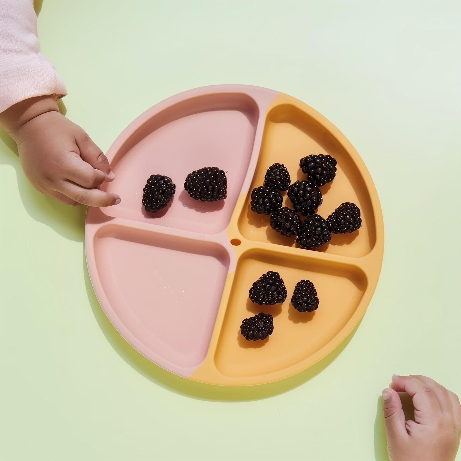 Nourish Collection
