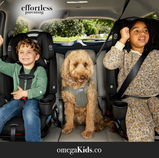 Graco Tranzitions 3-in-1 Harness Booster Seat (Cinder)